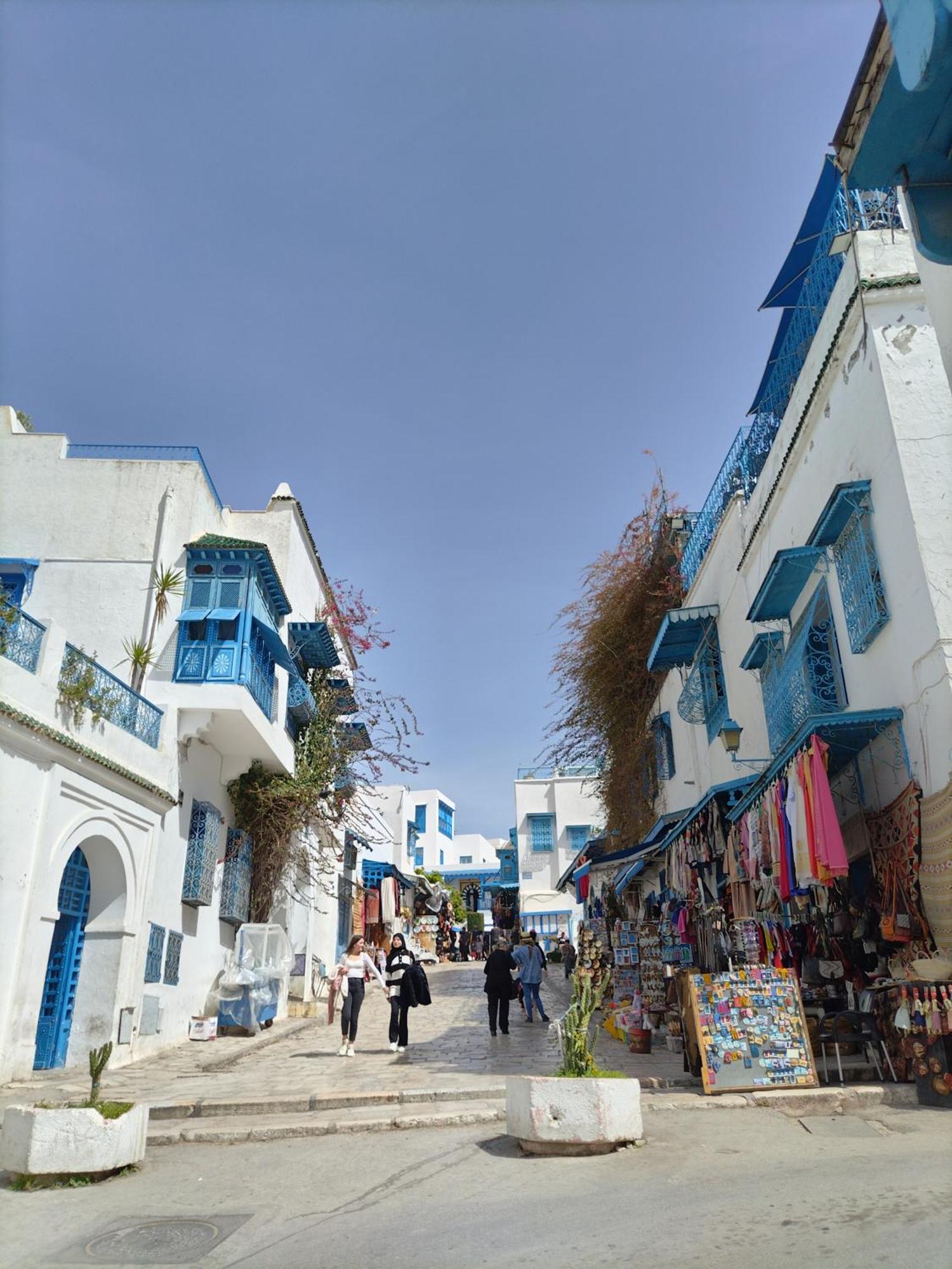 Marsa - Sidi Bousaid Lovely Authentic Apartment La Marsa Esterno foto