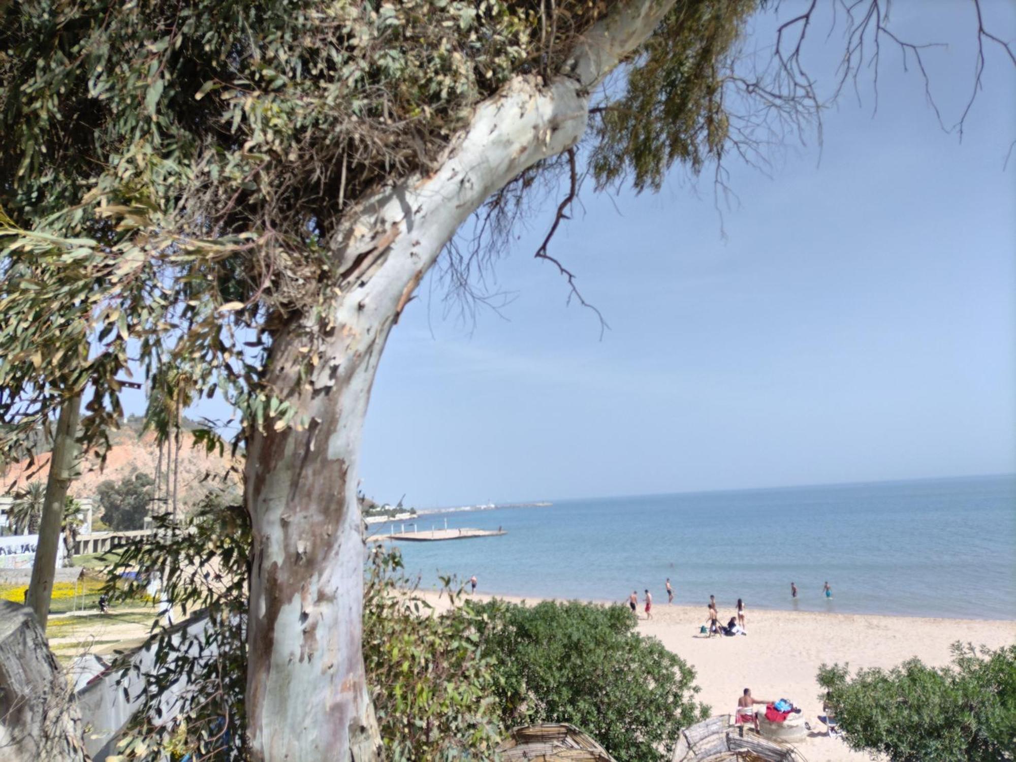 Marsa - Sidi Bousaid Lovely Authentic Apartment La Marsa Esterno foto